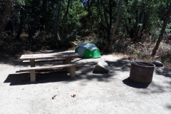 Campingsite am Pfeiffer Big Sur State Park mit praktischer Tisch-Sitzbank-Kombi