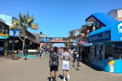 Pier 39 in San Francisco