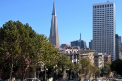 Transamerican Pyramid in San Francisco