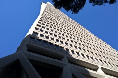 Transamerican Pyramid in San Francisco