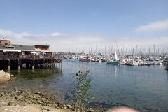 Marina in Monterey